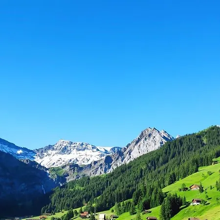 Chuenislodge3 Neu&stilvoll, 2balkone, Echtes Bijou Mit Top-aussicht * Adelboden