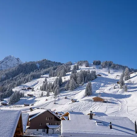 Chuenislodge3 Neu&stilvoll, 2balkone, Echtes Bijou Mit Top-aussicht Apartment Adelboden