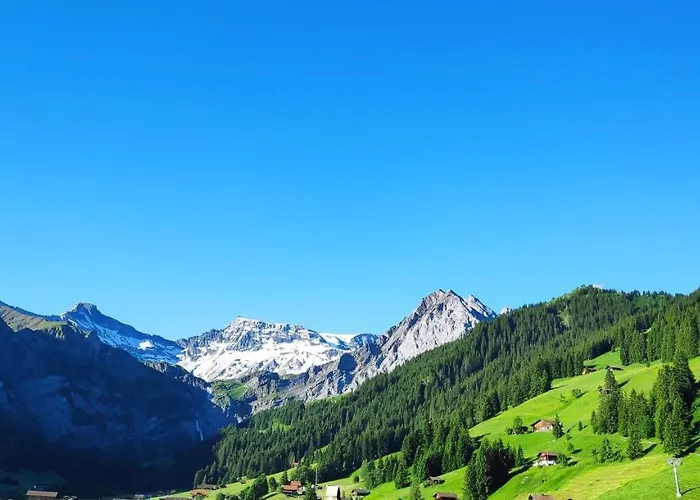 Chuenislodge3 Neu&stilvoll, 2balkone, Echtes Bijou Mit Top-aussicht * Adelboden