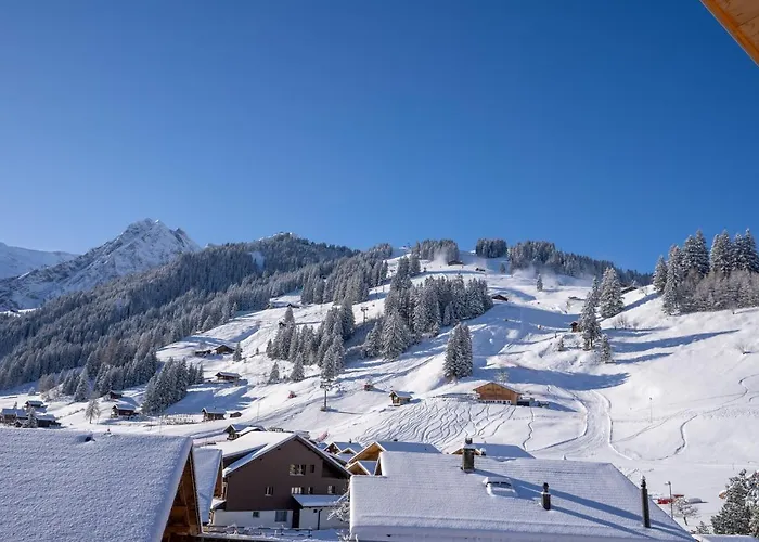 Chuenislodge3 Neu&stilvoll, 2balkone, Echtes Bijou Mit Top-aussicht Apartment Adelboden
